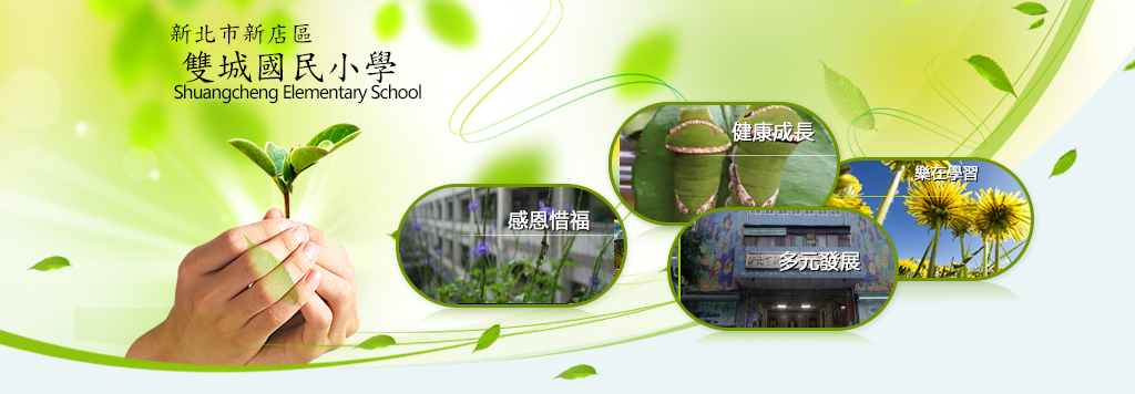 新北市新店區雙城國民小學