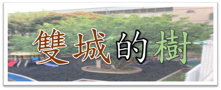 連結到雙城的樹(另開新視窗)